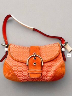 Coach Brown Leather Ergo Hobo Shoulder Bag 10741